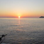 落とし込みリールのおすすめ【船】