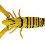 メジャークラフトのぷりぷりタコエビとは？使い方・釣り方は？