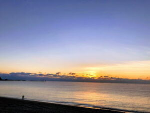 ヒラメのサーフでの釣り方!釣れない時はサーフフィネス?