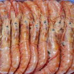 一つテンヤの餌の付け方!エビの種類は?