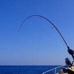 キハダのエビング仕掛けと釣り方