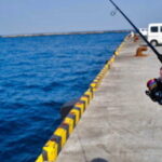 ライトゲームの釣り方!タックルは?【アジ・サバなど】