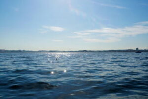 イイダコのスッテ仕掛けと釣り方