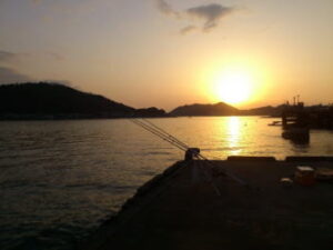 コロダイの投げ釣り仕掛けとエサ!釣り方は?