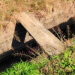 マブナの釣り場【千葉・埼玉・茨城】