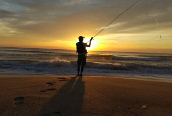 千葉 サーフ釣りのポイント 青物やヒラメなどが狙える