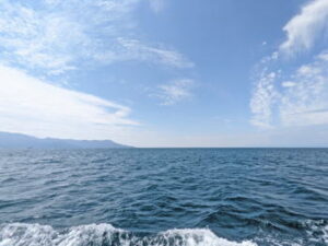 アラ釣りの時期