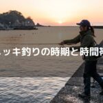 メッキ釣りの時期と時間帯