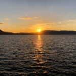 デイイカメタルの仕掛けと釣り方