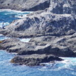 【ロックショア】シンペンで青物を狙う!釣り方は?