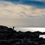 磯でのカゴ釣り仕掛けと釣り方