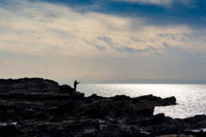 磯でのカゴ釣り仕掛けと釣り方