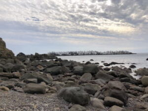 ゴロタでロックフィッシュを狙う！ルアー仕掛けや根掛かり対策