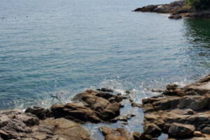 磯アジングのタックルと釣り方・ポイント