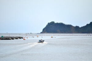 カレイの筏仕掛けと釣り方