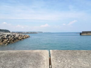 堤防の胴付き仕掛けと釣り方