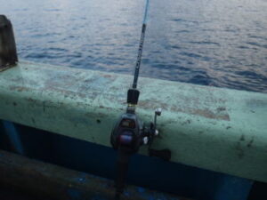 ヤリイカのイカメタル仕掛けは?時期や釣り方などについて解説