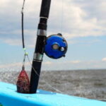 LTアジの仕掛けと釣り方のコツ【東京湾】