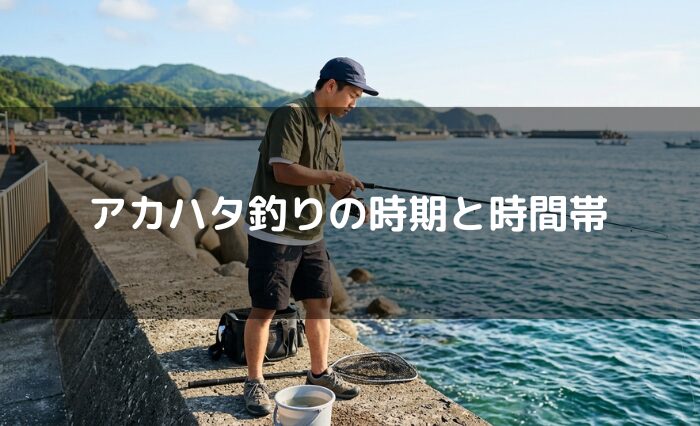 アカハタ釣りの時期と時間帯