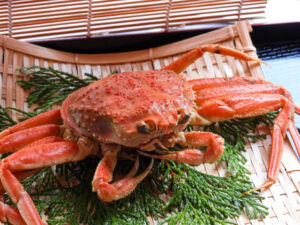 【2024年】カニお取り寄せランキングTOP5！通販のおすすめ人気は？