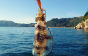 【筏】アオリイカのウキ仕掛けと合わせ方