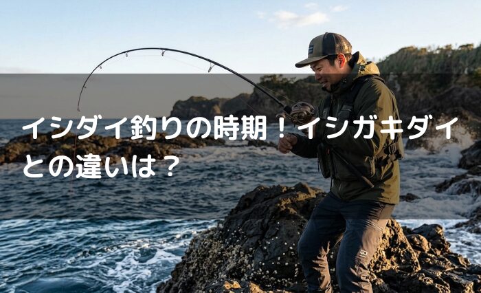 イシダイ釣りの時期!イシガキダイとの違いは?
