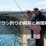 イワシ釣りの時期と時間帯