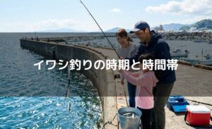 イワシ釣りの時期と時間帯