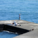 【堤防】カンパチの泳がせ釣りタックルと釣り方