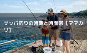 サッパ釣りの時期と時間帯【ママカリ】