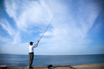 ヒラマサのカゴ釣りの釣り方