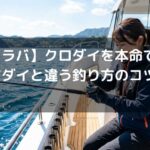 【タイラバ】クロダイを本命で狙う！マダイと違う釣り方のコツと仕掛け
