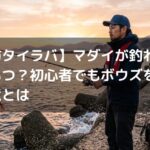 【堤防タイラバ】マダイが釣れる時期はいつ？初心者でもボウズを避ける極意とは