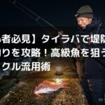 【初心者必見】タイラバで堤防からの夜釣りを攻略！高級魚を狙う秘訣とタックル流用術