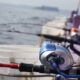 キハダ・カツオのコマセ仕掛けと釣り方【相模湾】